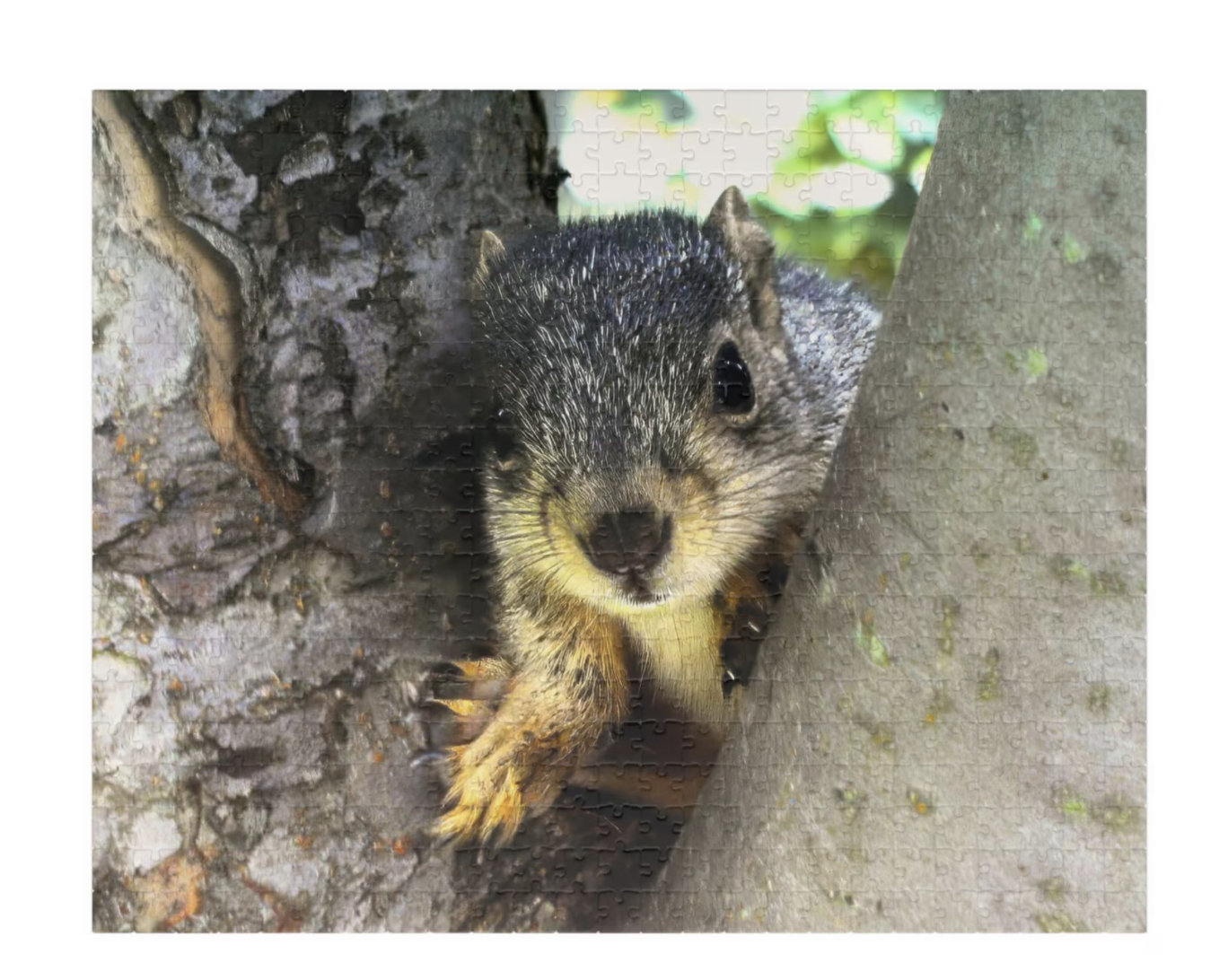 cute squirrel puzzle of squirrel in tree large